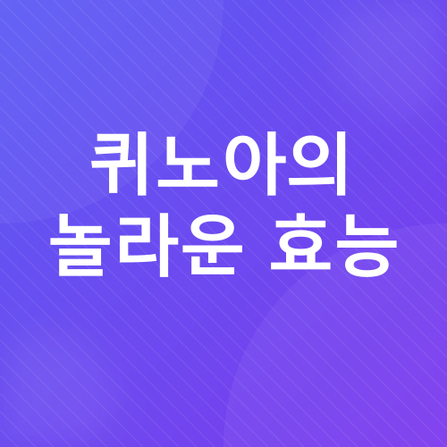 퀴노아 샐러드 레시피_3