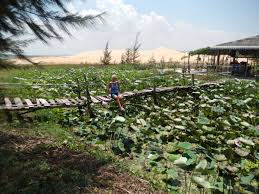 공익직불금 의무교육 바로가기