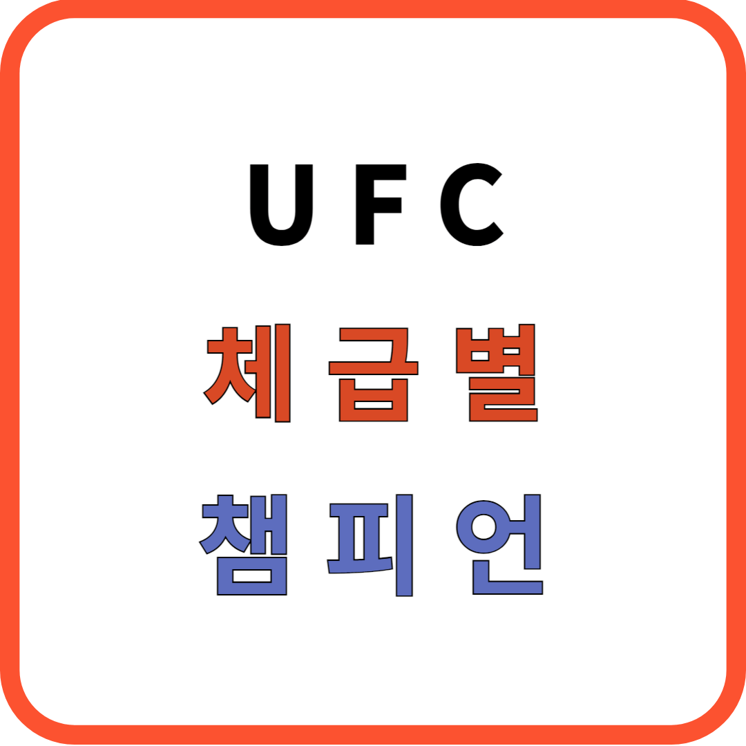 UFC 체급별 챔피언