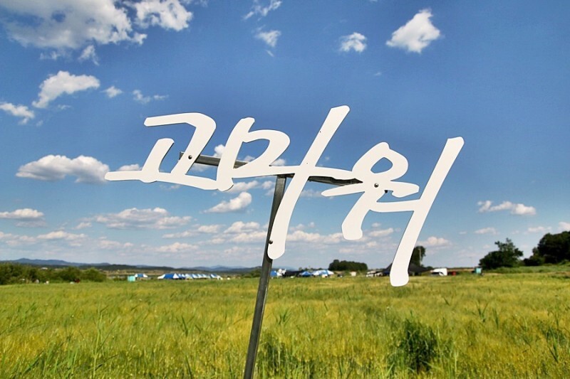 여주 상백리 청보리밭