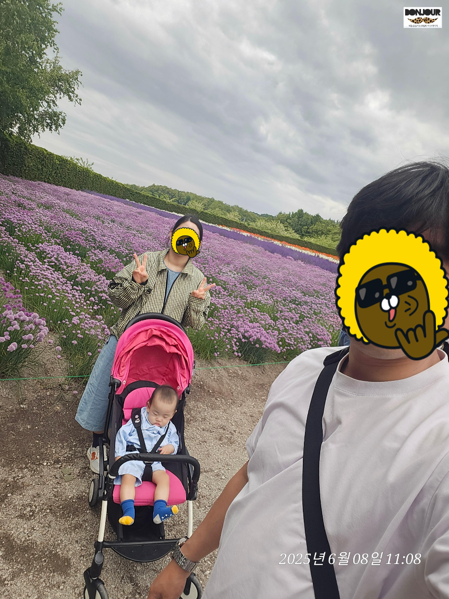 팜토미타 입장 후 라벤더밭 앞에서 가족사진 촬영, 6월 팜토미타 라벤더밭 개화 상태