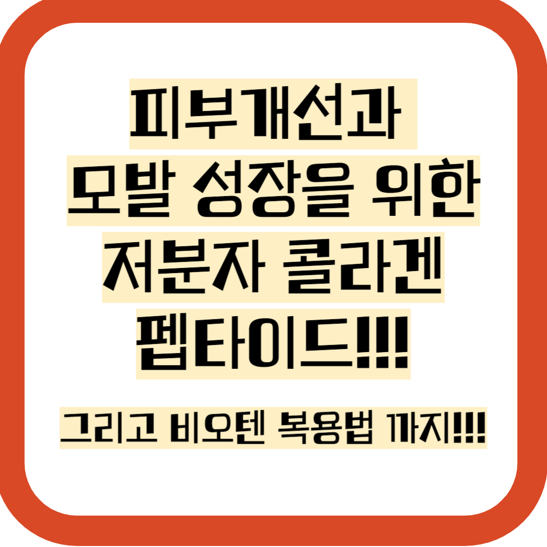 저분자 콜라겐 펩타이드 비오틴 식약처 인증 가이드