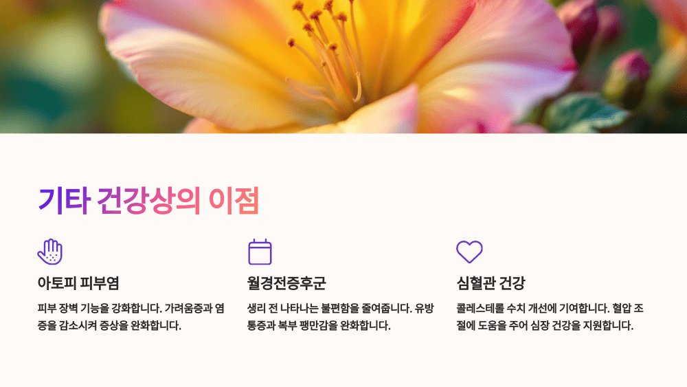 기타 건강상의 이점