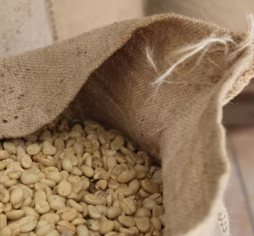 카무트 효소 부작용 분말 다이어트