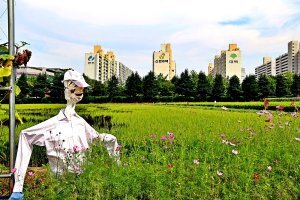 도시농업관리사