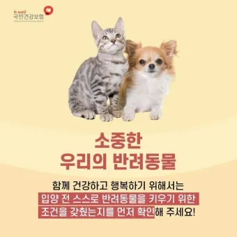 반려동물 건강 위한 최신 연구 동향 소개_17