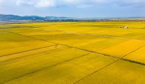 농지연금 수령액 계산 방법