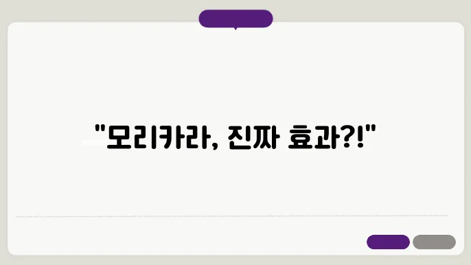 모리카라 모발 효과와 내돈내산 리뷰 후기