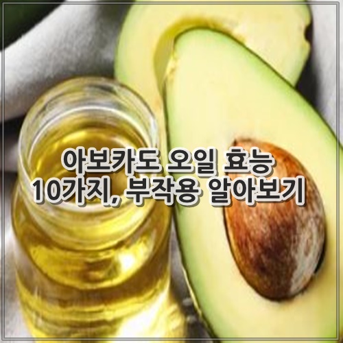 아보카도 오일 효능 10가지, 부작용 알아보기