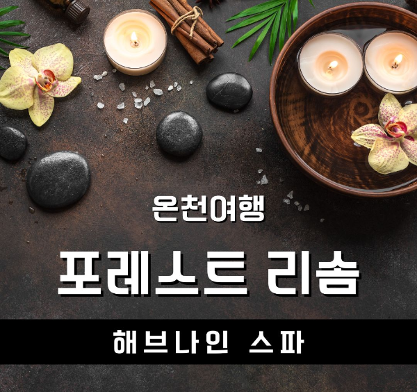겨울/힐링/여행/추천/포레스트해브나인
