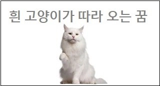 흰 고양이가 따라 오는 꿈