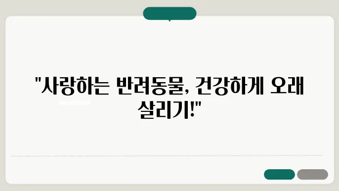 영양 관리: 노령견과 노령묘를 위한 최적의 식사
