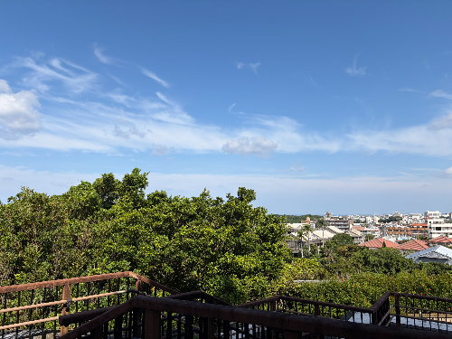 오픈탑 버스로 즐긴 오키나와 슈리성 반나절 투어 후기!