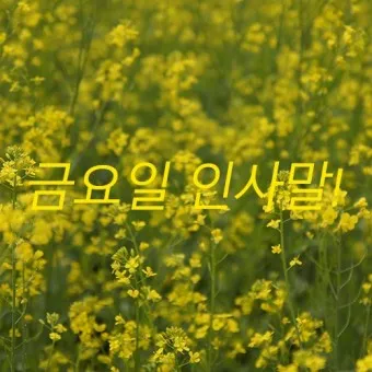 금요일 아침 인사말 이미지 문구 일러스트_10