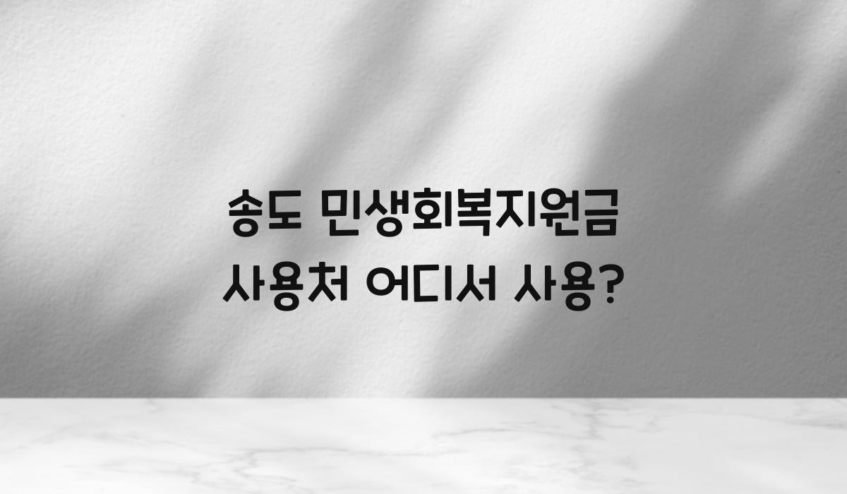 송도 민생회복지원금 사용처 어디서 사용?