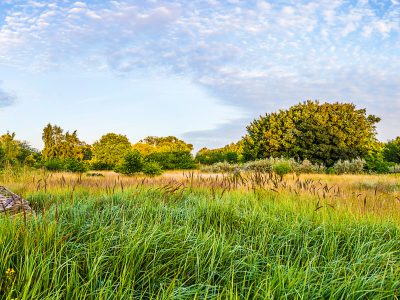 농지연금 가입조건 수령액 계산 총정리