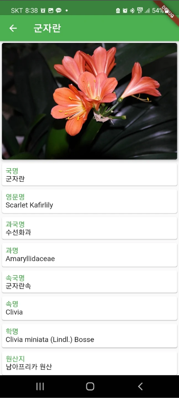 식물 도감 어플, 사진으로 식물 이름찾기, 식물도감 앱