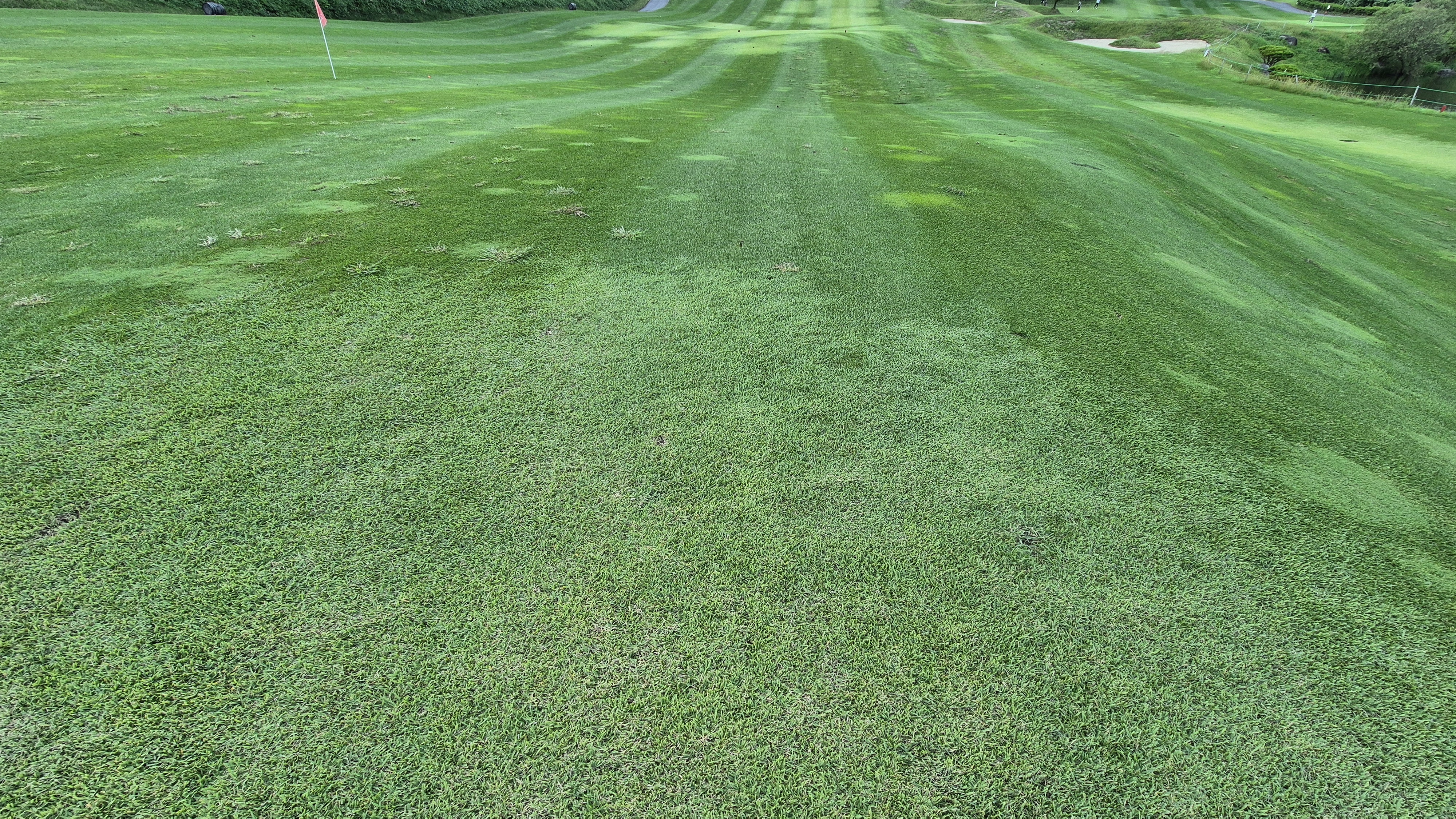 마론cc 라운드 후기