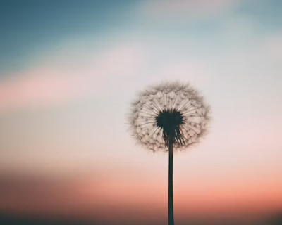 이스라엘 이란 휴전