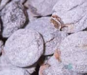 곶감선물세트 상품 유명한 지역 상주 영동 산청 청도 논산 영동 함양 곶감선물세트