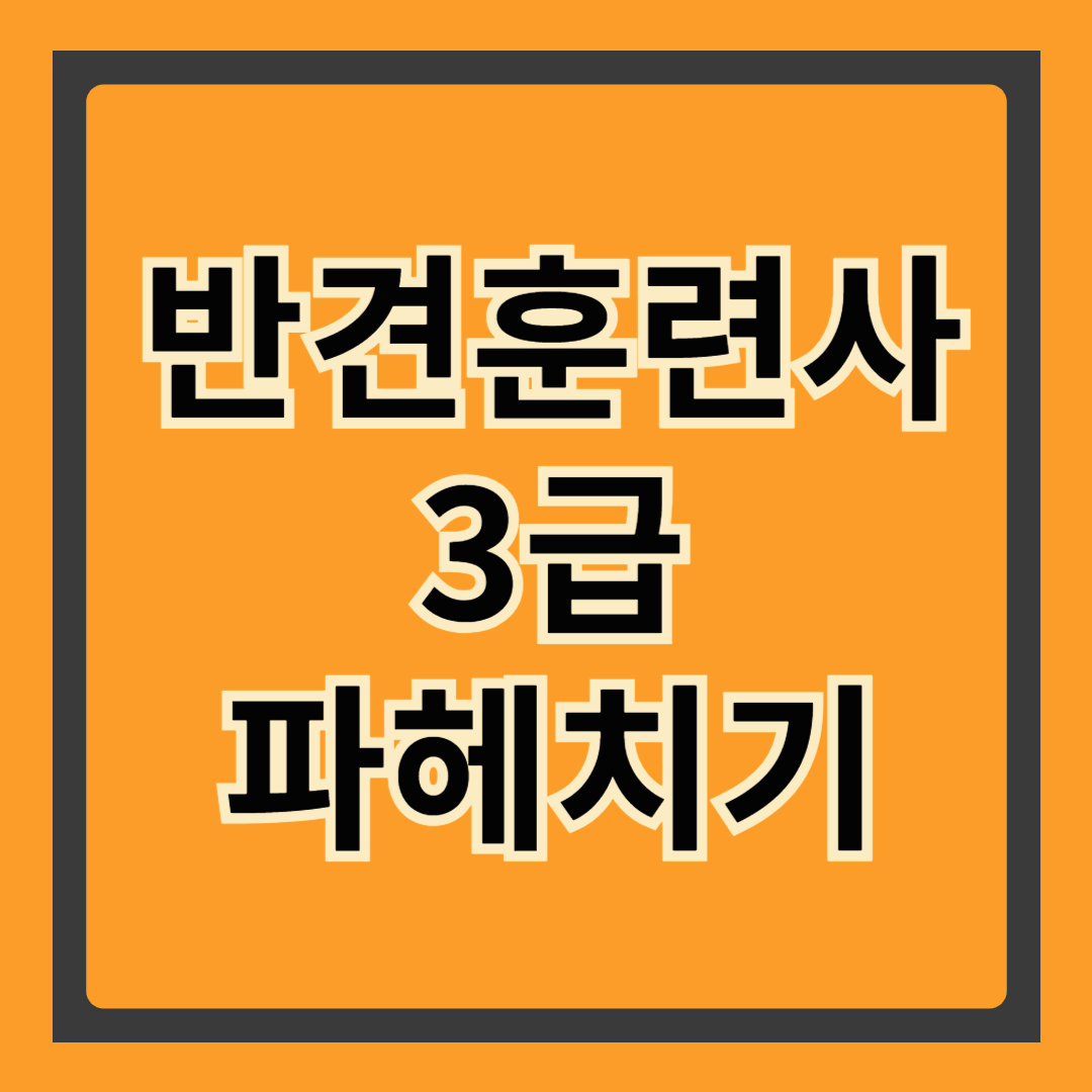 🐶 자격증 하나로 반려동물 전문가 되는 법!