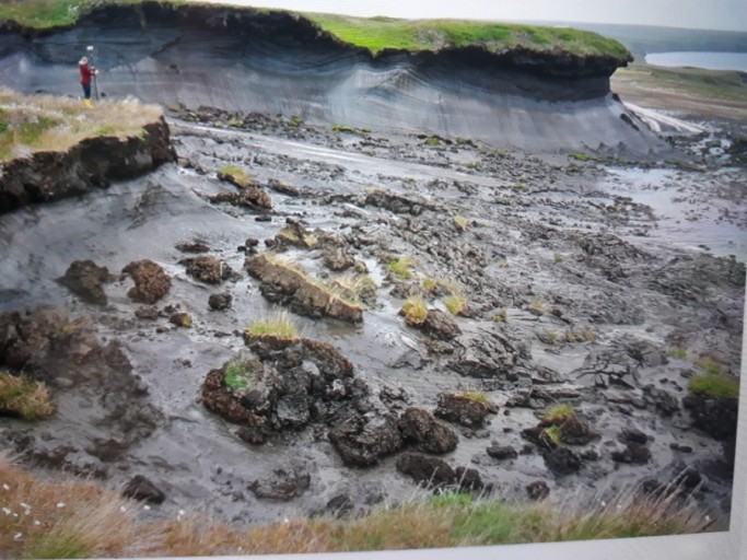 지구온난화로 인한 북극 동토층 해빙으로 전염병 확산- 출처-네이버