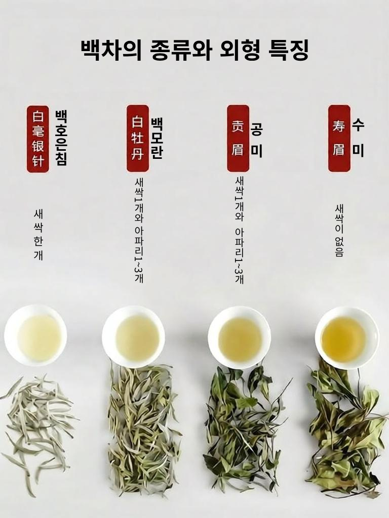 찻잔속에 담긴 찻탕색으로 구별되는 백차의 4종류