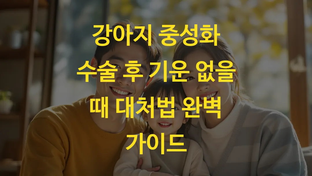 강아지 중성화 수술 후 기운 없을 때 대처법 완벽 가이드