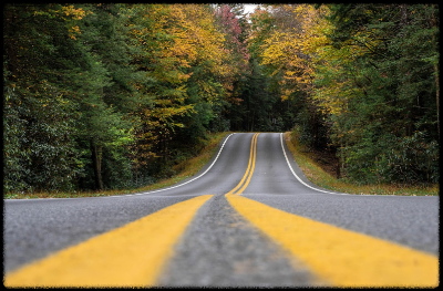 중학생 아들 명절 스트레스, 원인과 해법 총정리