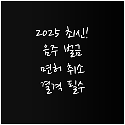 2025년 음주운전 벌금 기준 만취 ..
