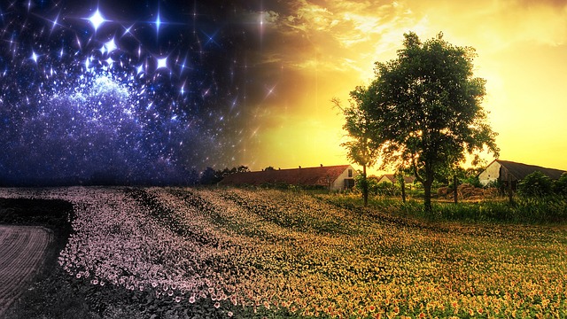 카본매트 탄소매트 추천 장단점