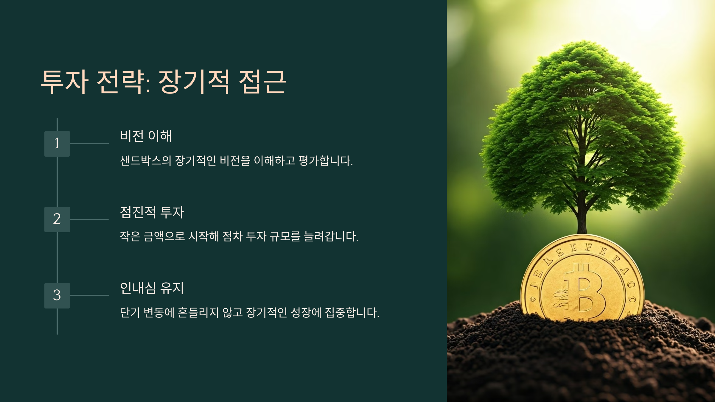 투자 전략: 장기적 접근