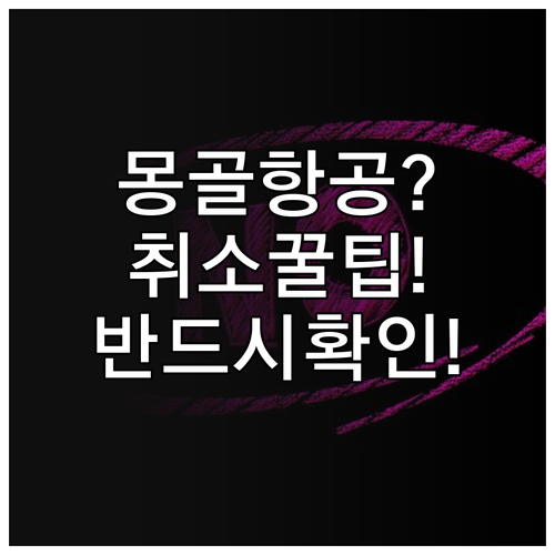 몽골항공 항공권 취소 전 반드시 확인..
