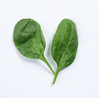 비타민K가 많은 음식