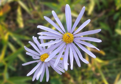 지삿개에서 관련 이미지