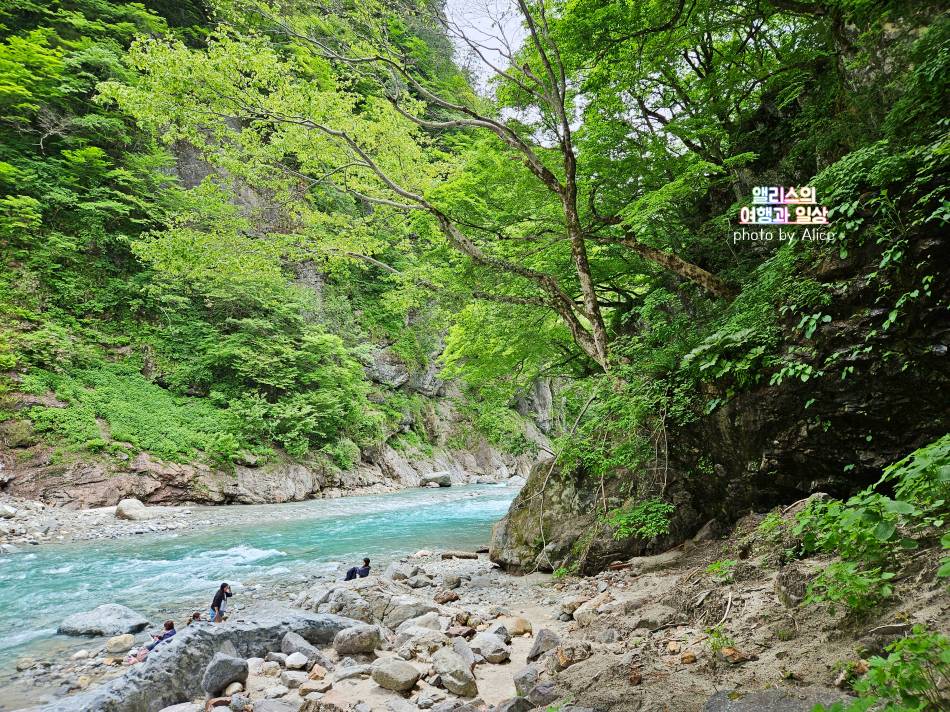 아고다 6월 누구나 9% 할인코드 (~12.31) + 부산 가볼만한곳 무료 입장 추천