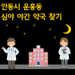 안동시 운흥동 심야 야간 약국 찾기