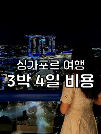 싱가포르 여행경비 3박4일 실측 가이드 낭비 없는 예산 짜기_3