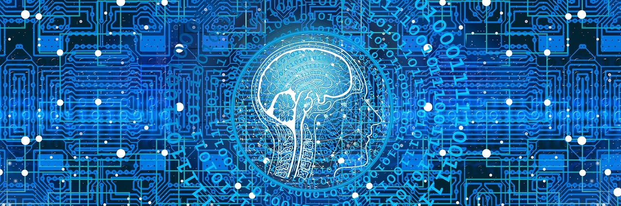 디지털 두뇌와 데이터 네트워크가 연결된 ai 콘셉트 이미지 관련 사진