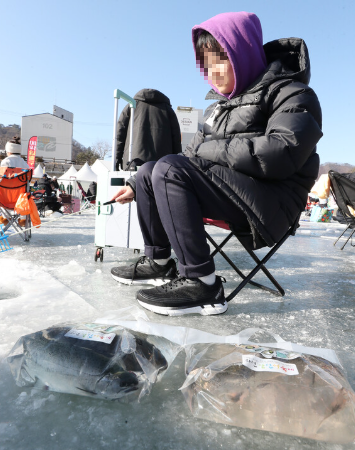 화천 산천어 축제