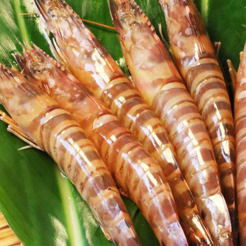 보리새우의 효능과 요리법&amp;#44; 부작용 알아보기