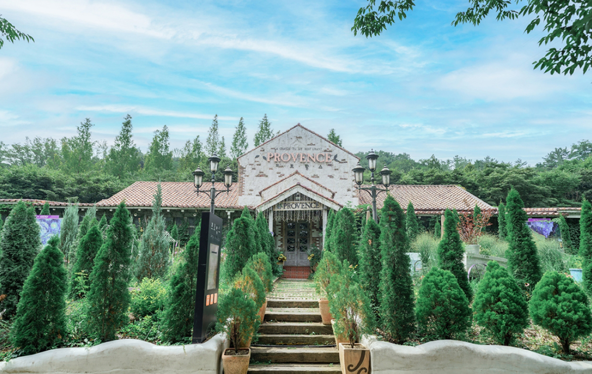 청도 프로방스 빛축제