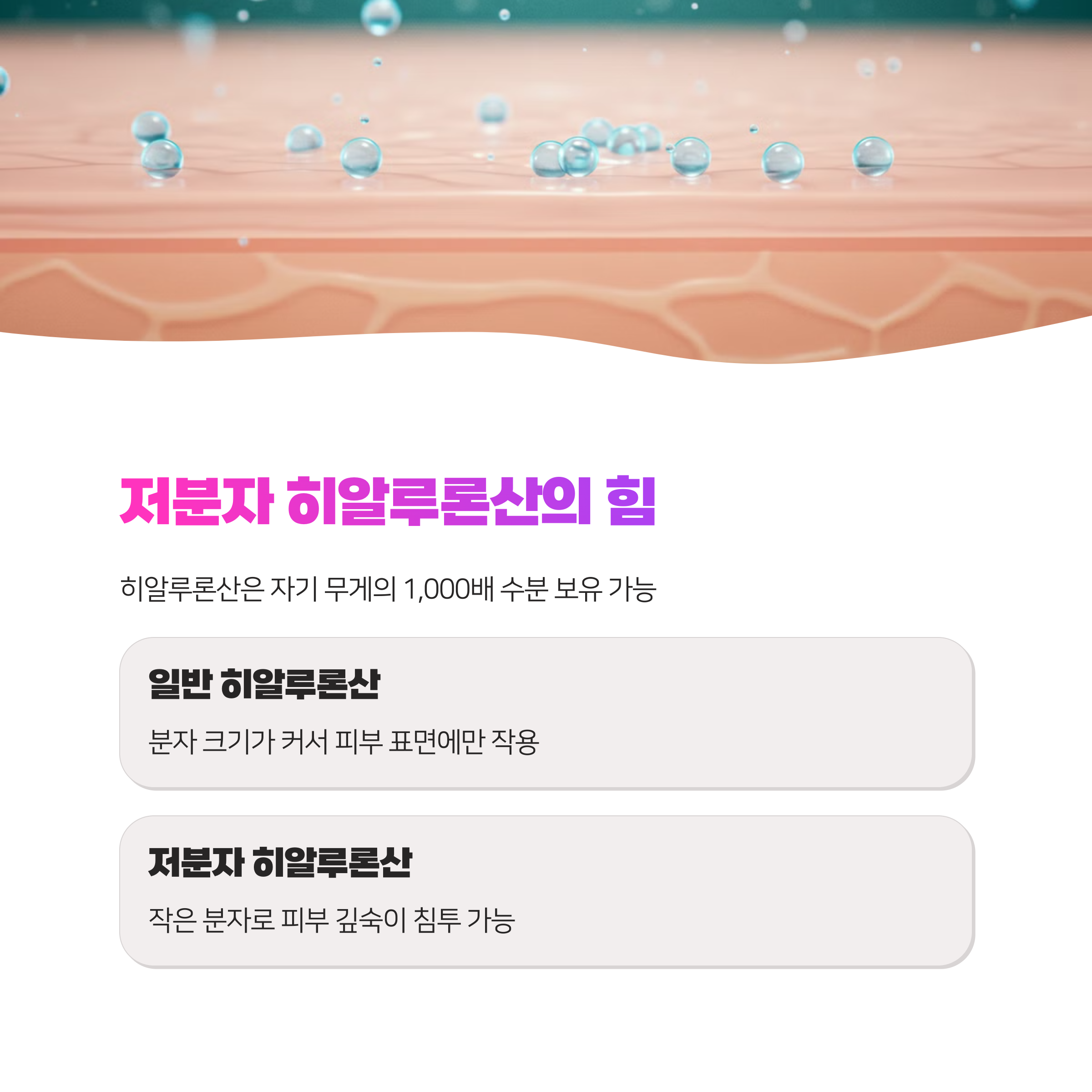 히알루론산 앰플 웰라쥬 vs 토리든 명품 비교 총정리 확인하세요 (2025 최신)