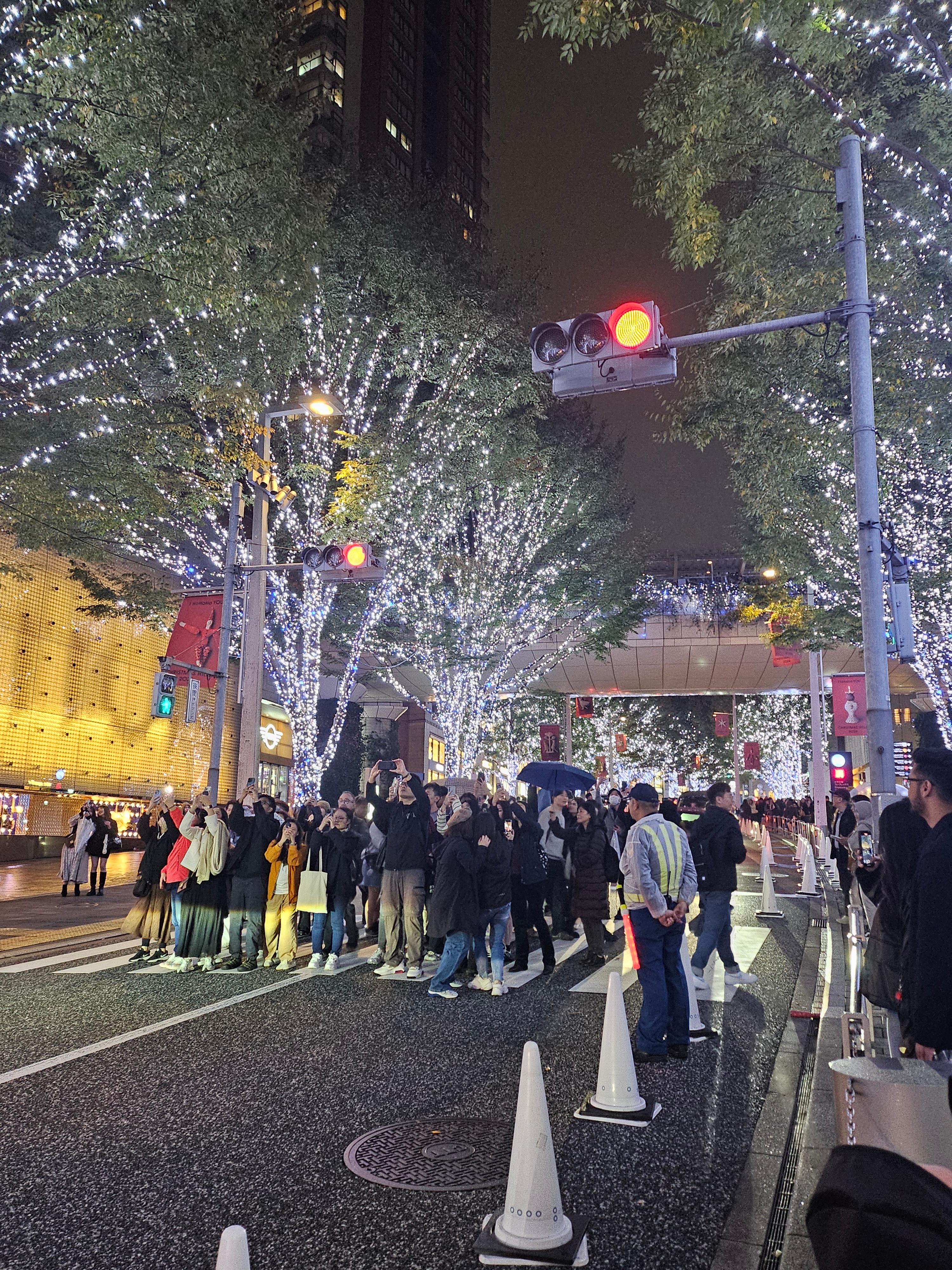 롯폰기 일루미네이션