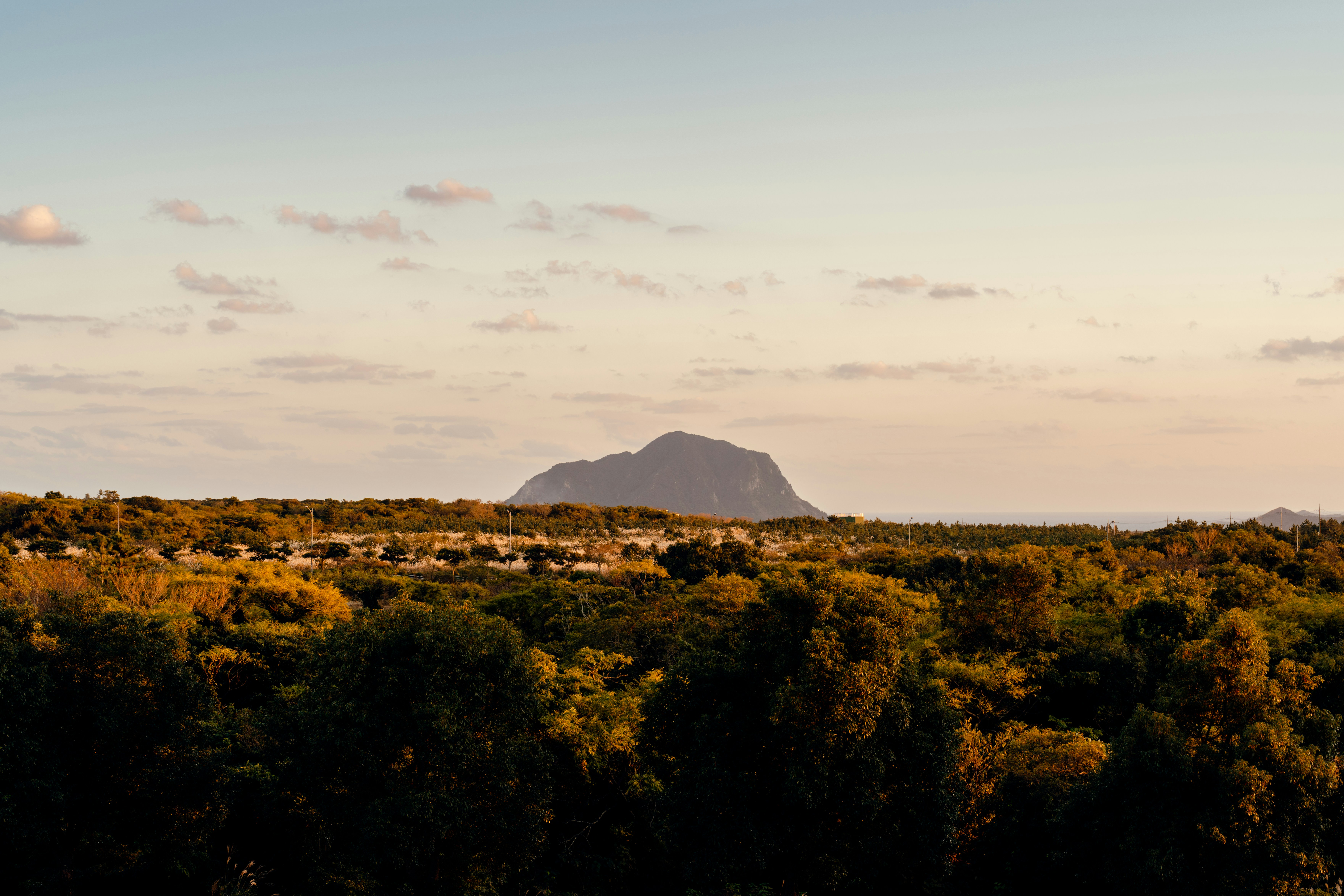 드라마 폭삭 속았수다 촬영지