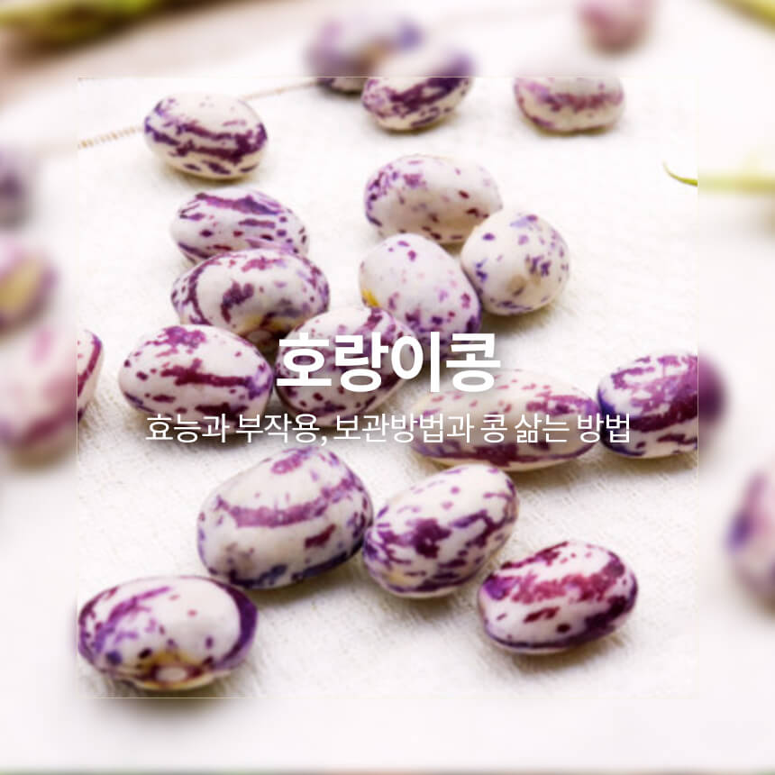 “호랑이콩-효능과-부작용”