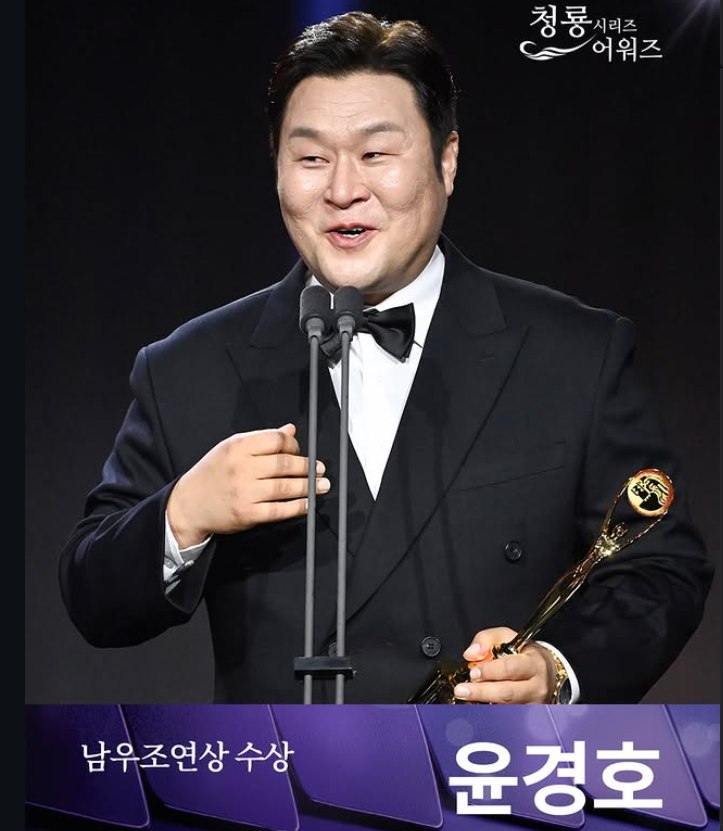 청룡 시리즈 어워즈