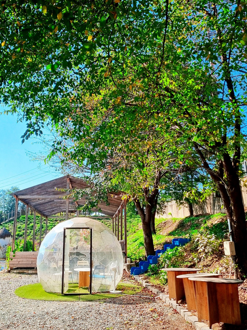 강원도 홍천 테샤로바 카페: 홍천강뷰 그리스식 감성 맛집, 쿠폰 정보