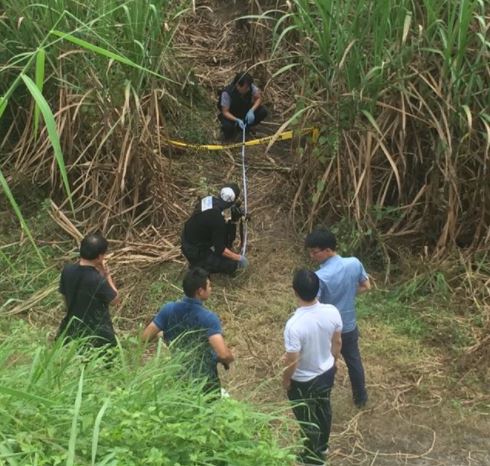 박왕열 사탕수수밭 살인사건