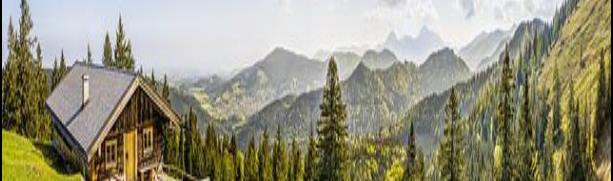 체질을 알면 건강이 보입니다. 